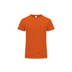 Camiseta Adulto Color Stiles