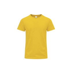 Camiseta Adulto Color Perkins