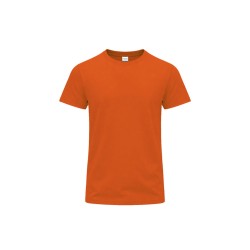Camiseta Adulto Color Perkins