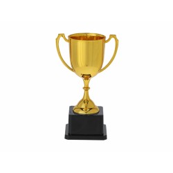 Trofeo Nynor