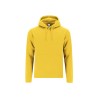 Sudadera Adulto Draco