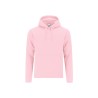Sudadera Adulto Draco