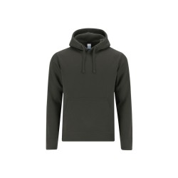 Sudadera Adulto Draco