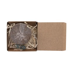 Pack Plantable Aquael