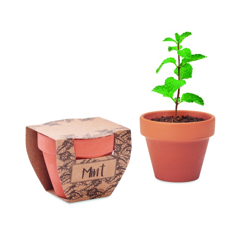 Maceta de terracota con semillas de menta Mint Pot