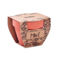 Maceta de terracota con semillas de menta Mint Pot