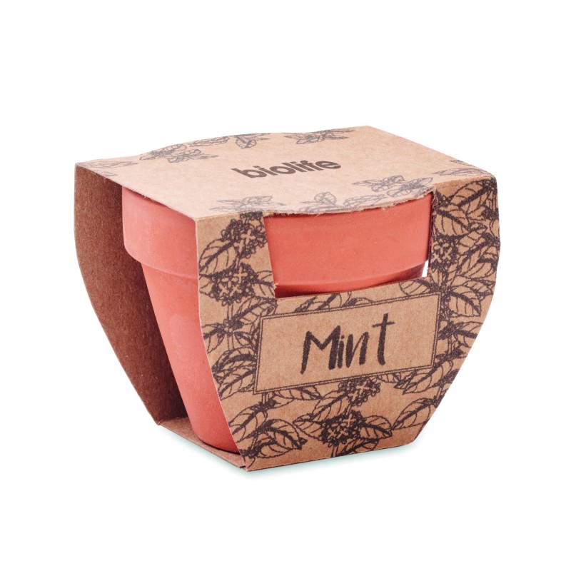 Maceta de terracota con semillas de menta Mint Pot