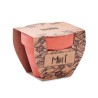 Maceta de terracota con semillas de menta Mint Pot