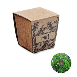 Kit de cultivo de menta...