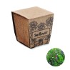 Kit de cultivo de girasoles Sunflower Kit