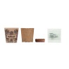 Kit de cultivo de girasoles Sunflower Kit