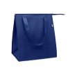 Bolsa nevera non woven RPET Wooler 25 L