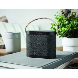 Altavoz inalámbrico de RPET y bambú Wusic