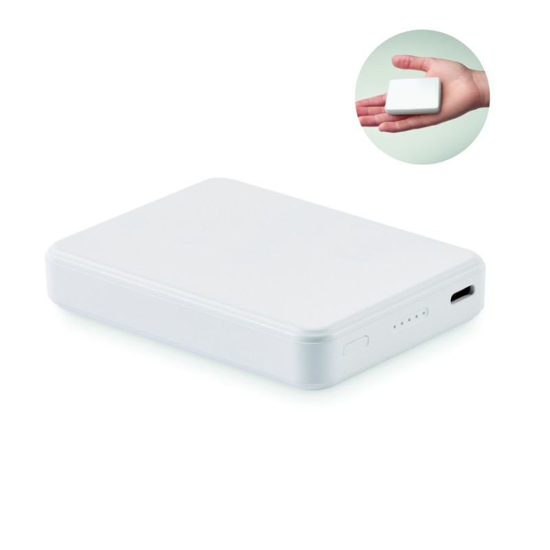 Powerbank Kleinpow 5000 mAh