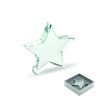 Trofeo de cristal con forma de estrella Starward