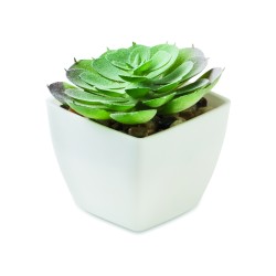 Mini planta artificial...