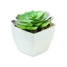 Mini planta artificial suculenta Artieche
