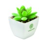Mini planta artificial suculenta Artigrap
