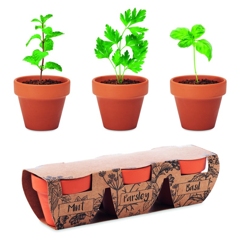 Set de 3 macetas de terracota con semillas Flowerpot