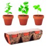 Set de 3 macetas de terracota con semillas Flowerpot