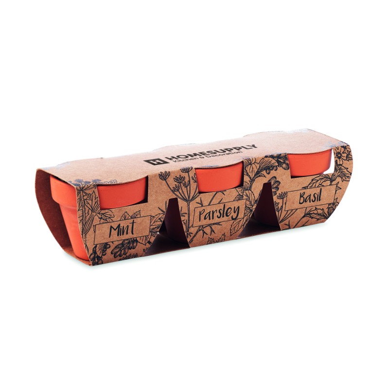 Set de 3 macetas de terracota con semillas Flowerpot
