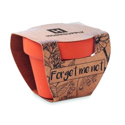 Maceta de terracota con semillas Forget Me Not