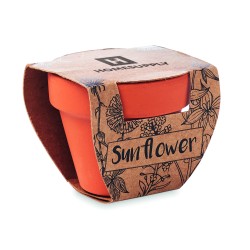 Maceta de terracota con semillas Sunflower