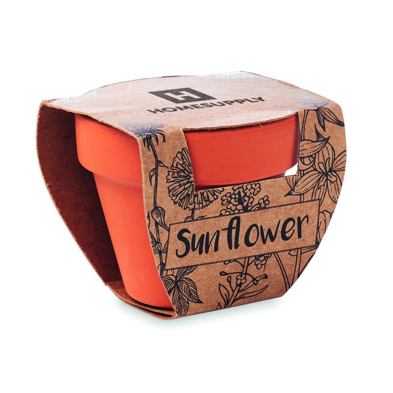 Maceta de terracota con semillas Sunflower