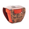 Maceta de terracota con semillas Sunflower