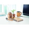 Libreta con semillas de pino Grownotebook