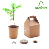 Kit para plantar un pino Growtree