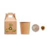 Kit para plantar un pino Growtree