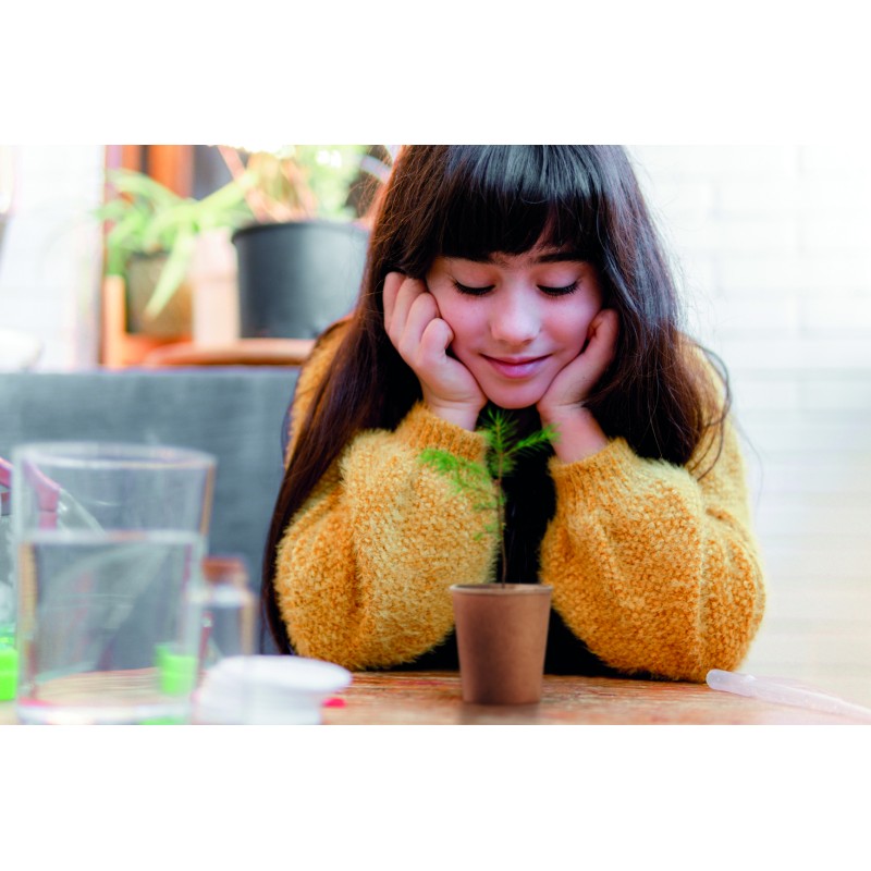 Kit para plantar un pino Growtree