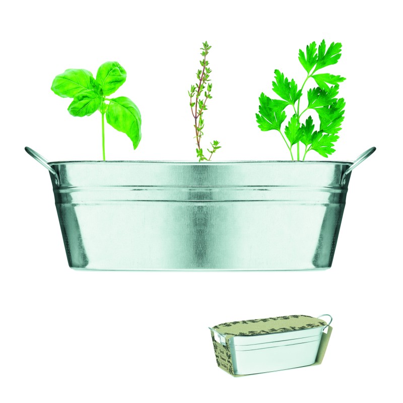Maceta de zinc con 3 semillas Mix Seeds