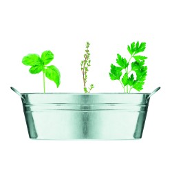 Maceta de zinc con 3 semillas Mix Seeds