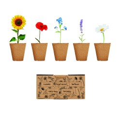 Kit de cultivo de flores...