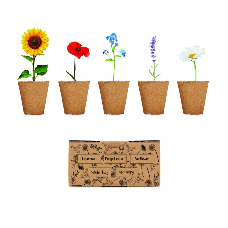 Kit de cultivo de flores Flowers