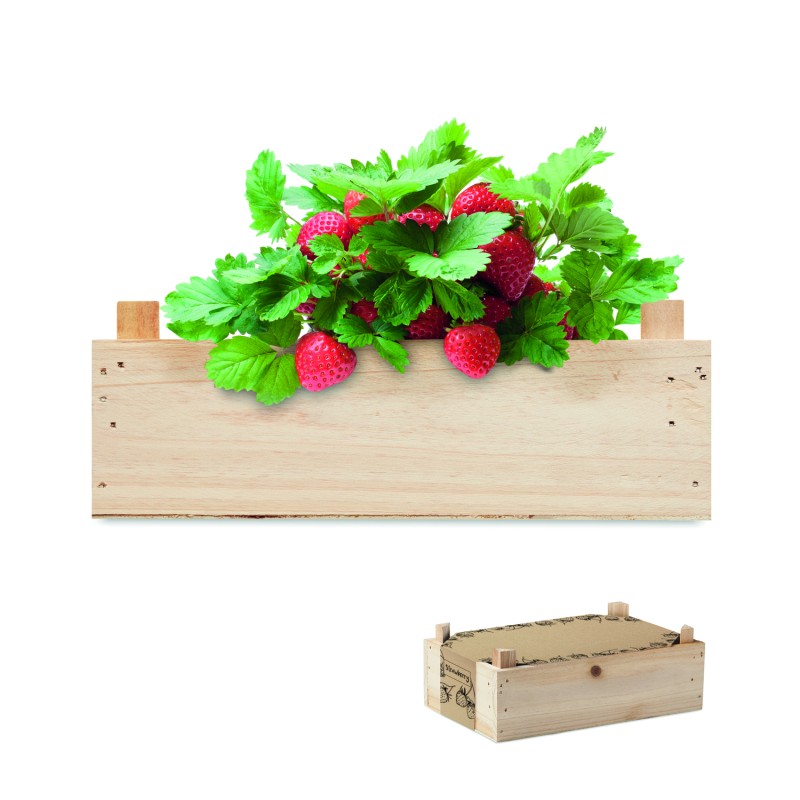 Kit de cultivo de fresas en caja de madera Strawberry