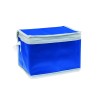 Bolsa nevera non woven para 6 latas Promocool