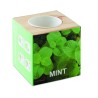 Maceta con semillas de menta Menta