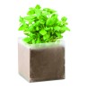 Bolsa de semillas de albahaca Basil