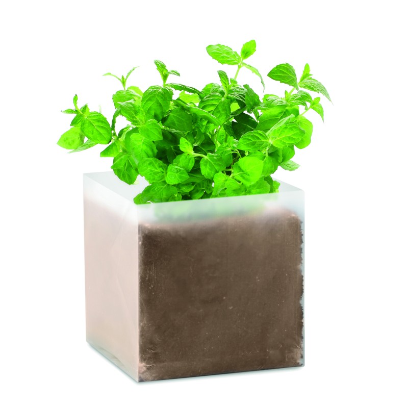 Bolsa de semillas de menta Mint