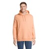 Sudadera con capucha de algodón orgánico Constellation