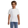 Camiseta infantil Regent